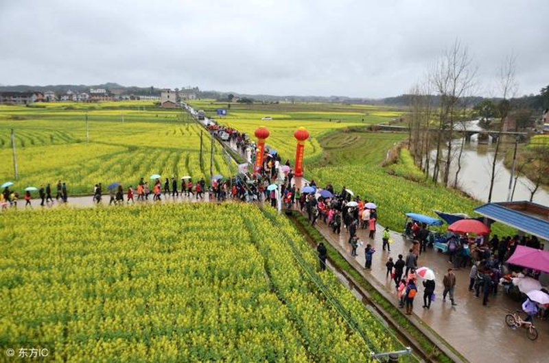 农产品深加工:从田间到餐桌的新旅程