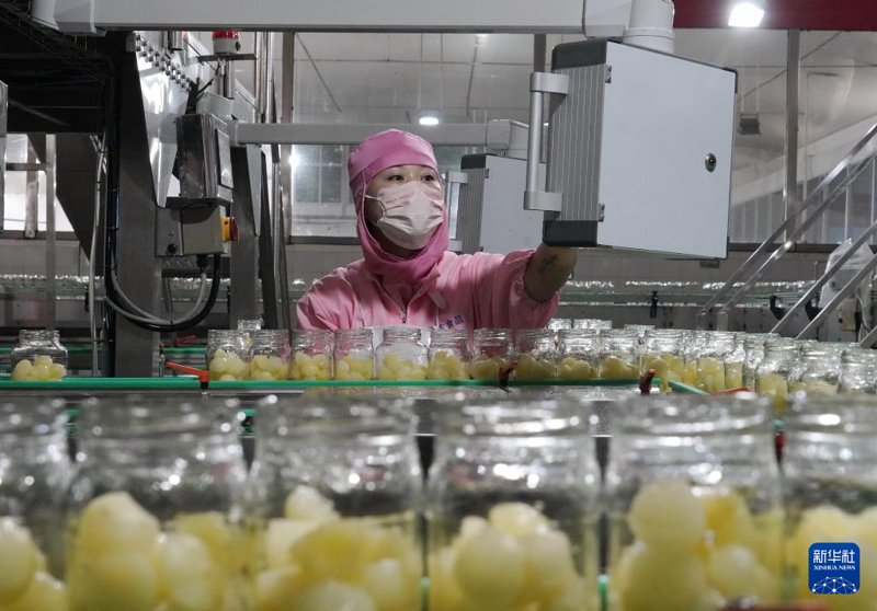 农业科技引领未来:走进农产品深加工