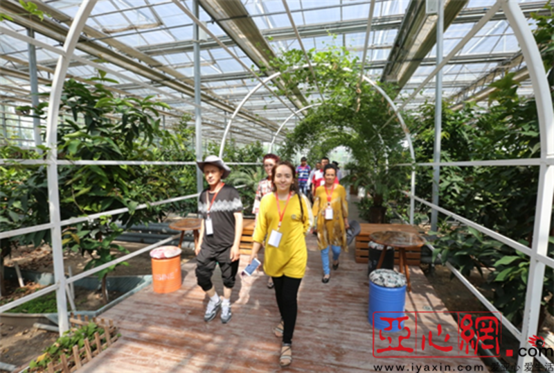 福建省现代农业走过的辉煌之路