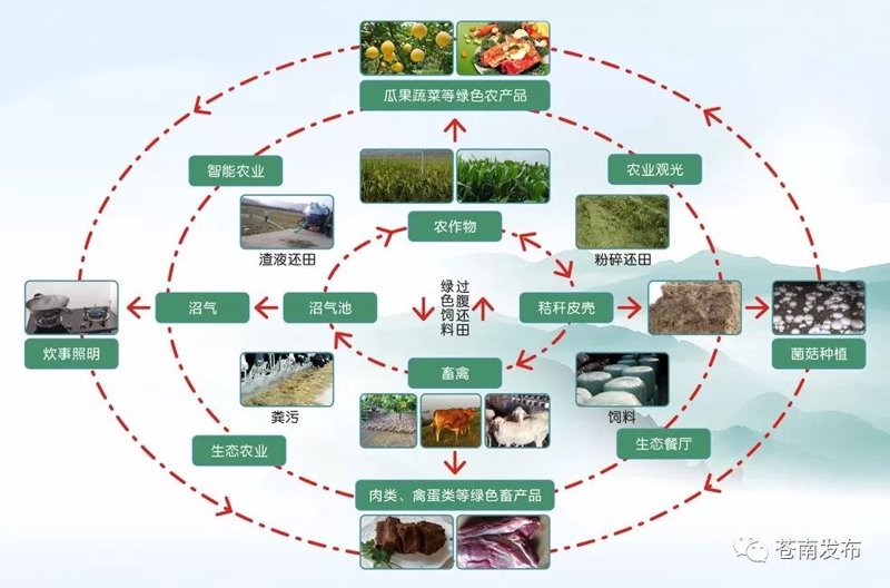 农业产业化发展浪潮下的新机遇