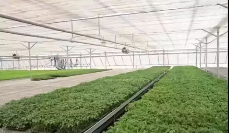 智慧农业引领未来种植革命