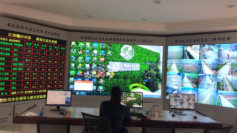 福建现代农业选购指南:绿色生态的选择